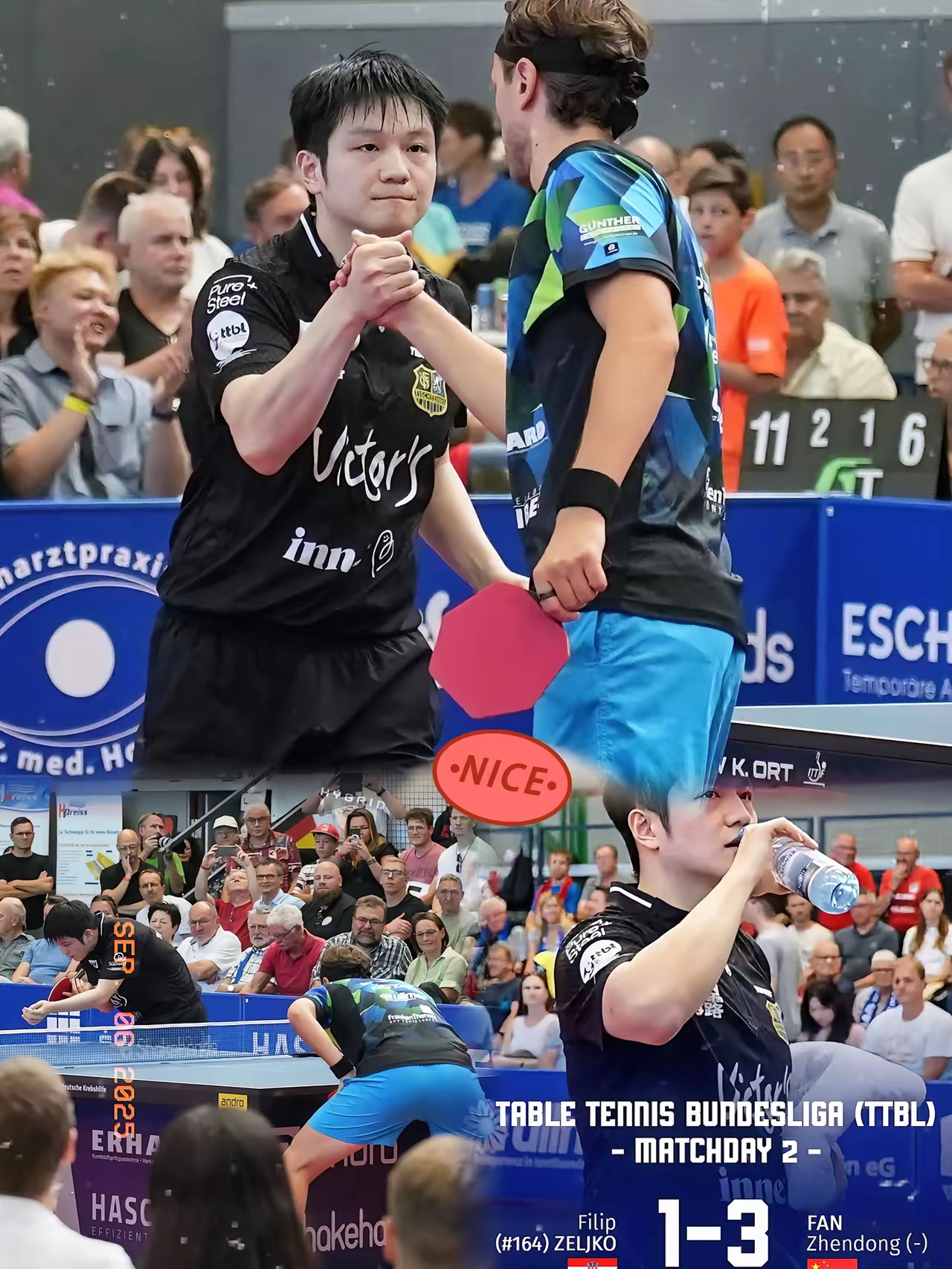 雷速网球直播-法国队碾压波兰队，樊振东带队取胜