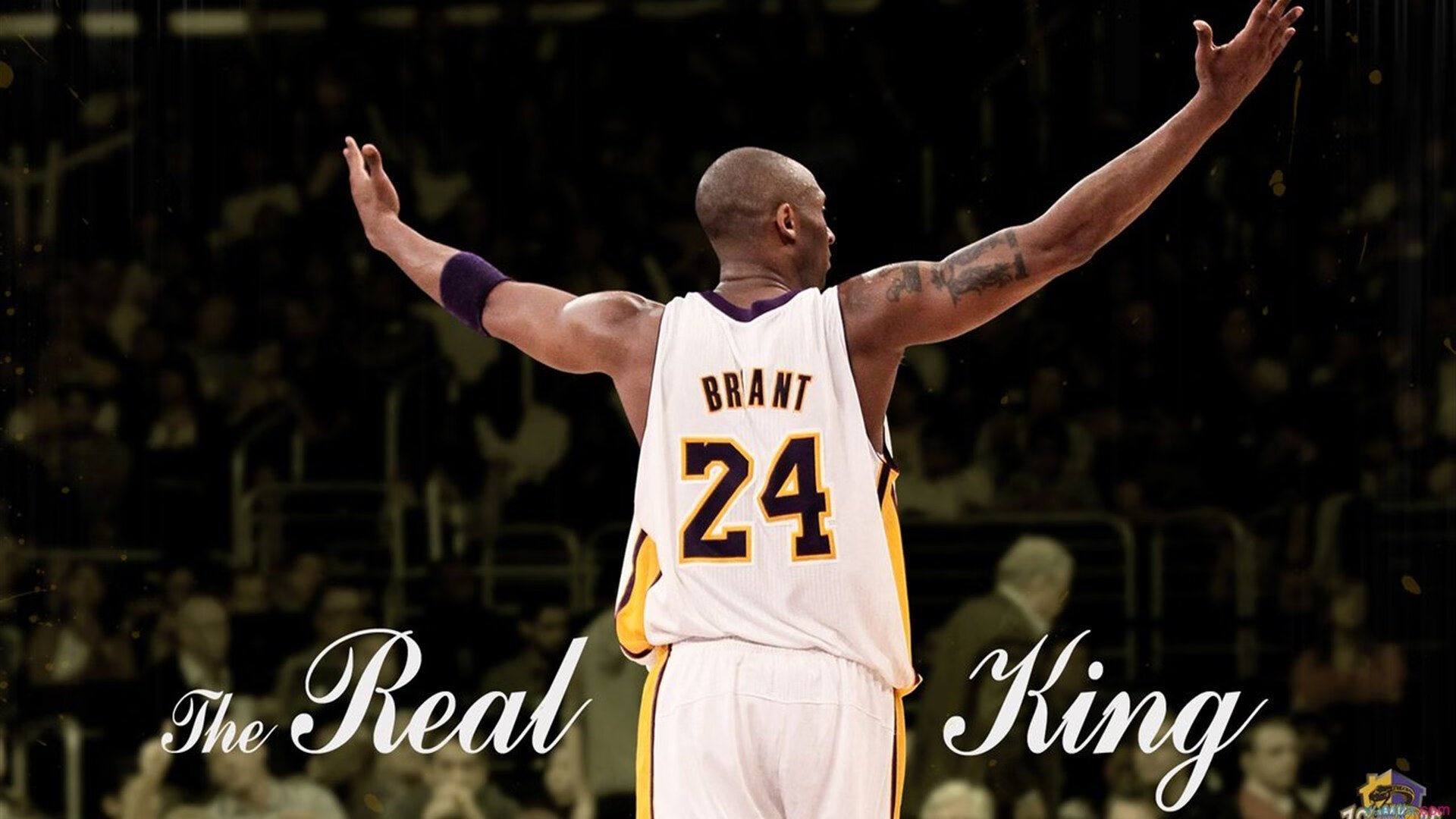 小贾伦关键回合不手软，国王防守锁死骑士—双城记下的战术博弈与决胜时刻